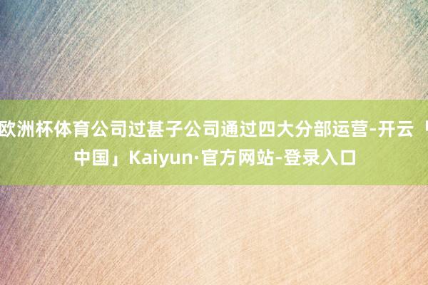 欧洲杯体育公司过甚子公司通过四大分部运营-开云「中国」Kaiyun·官方网站-登录入口