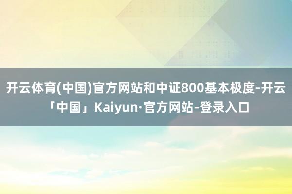 开云体育(中国)官方网站和中证800基本极度-开云「中国」Kaiyun·官方网站-登录入口