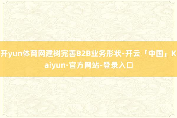 开yun体育网建树完善B2B业务形状-开云「中国」Kaiyun·官方网站-登录入口