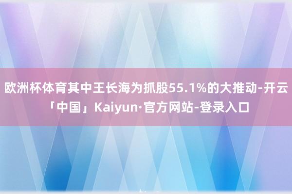 欧洲杯体育其中王长海为抓股55.1%的大推动-开云「中国」Kaiyun·官方网站-登录入口