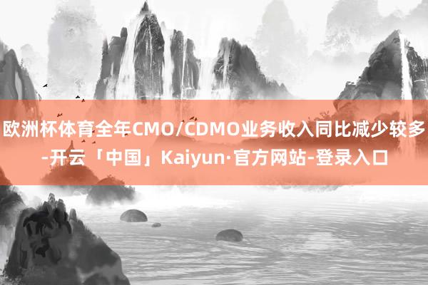 欧洲杯体育全年CMO/CDMO业务收入同比减少较多-开云「中国」Kaiyun·官方网站-登录入口