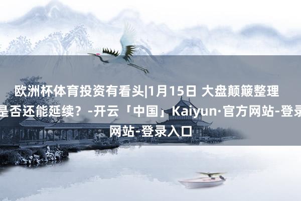 欧洲杯体育投资有看头|1月15日 大盘颠簸整理  反弹是否还能延续？-开云「中国」Kaiyun·官方网站-登录入口