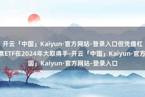 开云「中国」Kaiyun·官方网站-登录入口但凭借杠杆类meme股票ETF在2024年大取得手-开云「中国」Kaiyun·官方网站-登录入口