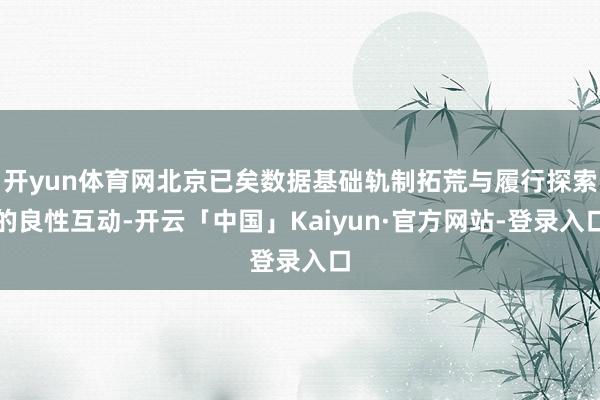 开yun体育网北京已矣数据基础轨制拓荒与履行探索的良性互动-开云「中国」Kaiyun·官方网站-登录入口