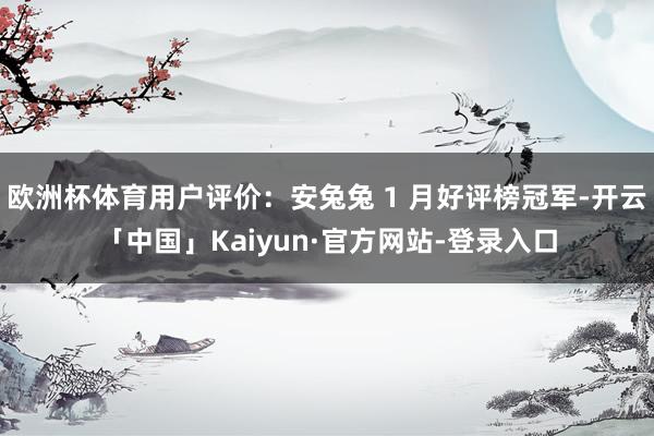 欧洲杯体育用户评价：安兔兔 1 月好评榜冠军-开云「中国」Kaiyun·官方网站-登录入口