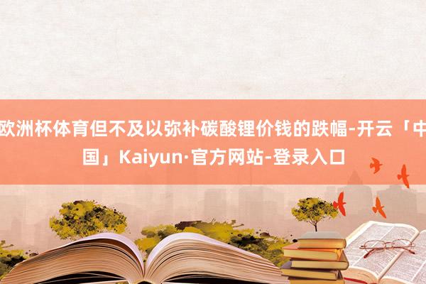 欧洲杯体育但不及以弥补碳酸锂价钱的跌幅-开云「中国」Kaiyun·官方网站-登录入口