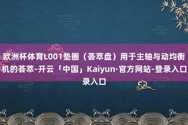 欧洲杯体育L001垫圈（荟萃盘）用于主轴与动均衡机的荟萃-开云「中国」Kaiyun·官方网站-登录入口