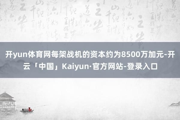 开yun体育网每架战机的资本约为8500万加元-开云「中国」Kaiyun·官方网站-登录入口