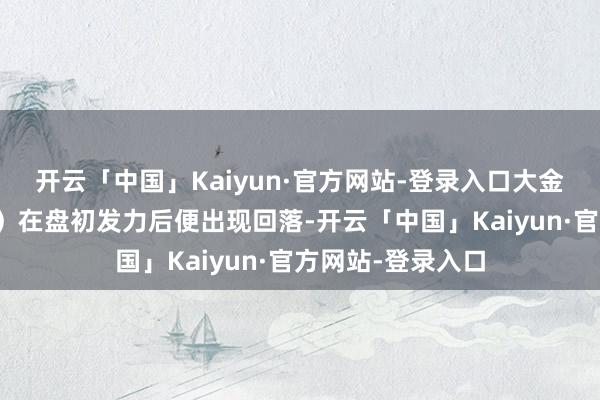 开云「中国」Kaiyun·官方网站-登录入口大金融（银行、券商）在盘初发力后便出现回落-开云「中国」Kaiyun·官方网站-登录入口
