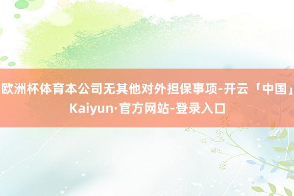欧洲杯体育本公司无其他对外担保事项-开云「中国」Kaiyun·官方网站-登录入口