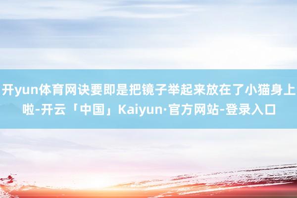 开yun体育网诀要即是把镜子举起来放在了小猫身上啦-开云「中国」Kaiyun·官方网站-登录入口