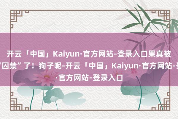 开云「中国」Kaiyun·官方网站-登录入口果真被衣着给“囚禁”了！狗子呢-开云「中国」Kaiyun·官方网站-登录入口